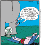 elephant standing over a fan