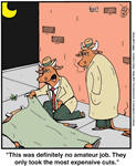 No Amateur Murder