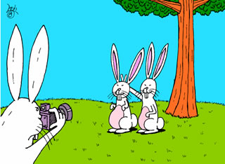 bunnies ecard