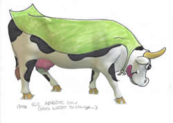 Adventure Cow rough draft colors